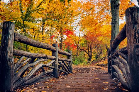 fall photography backgrounds